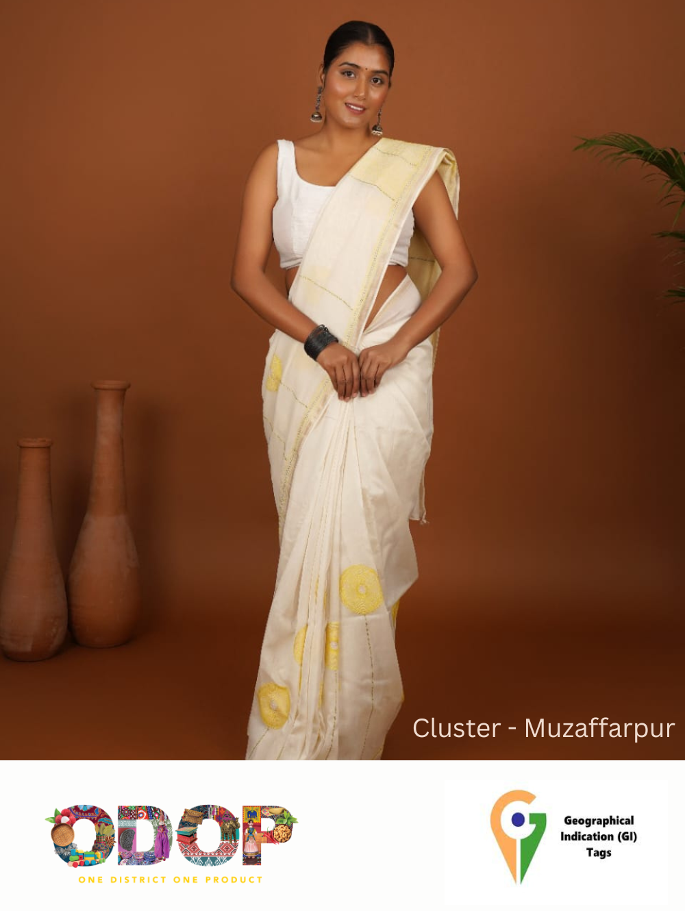 Sujni Embrideory Saree